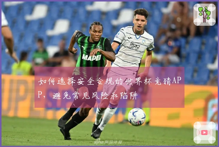 如何选择安全合规的世界杯竞猜APP，避免常见风险和陷阱