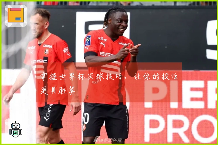 掌握世界杯买球技巧，让你的投注更具胜算