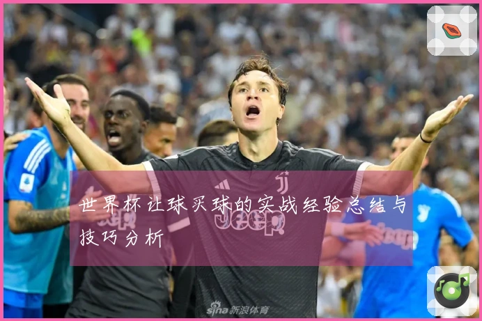 世界杯让球买球的实战经验总结与技巧分析