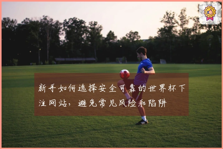 新手如何选择安全可靠的世界杯下注网站，避免常见风险和陷阱