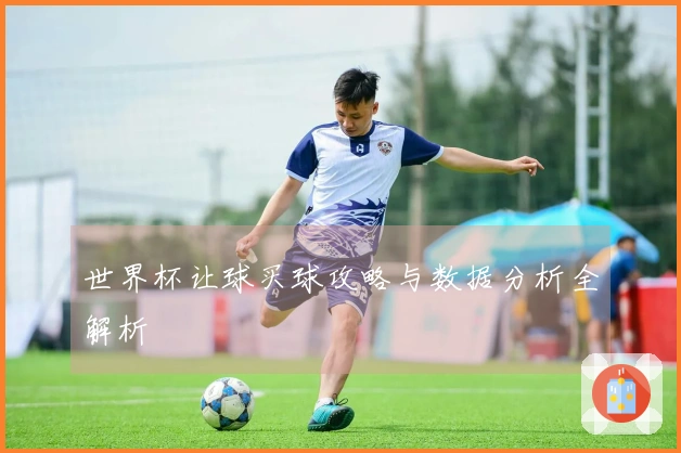 世界杯让球买球攻略与数据分析全解析