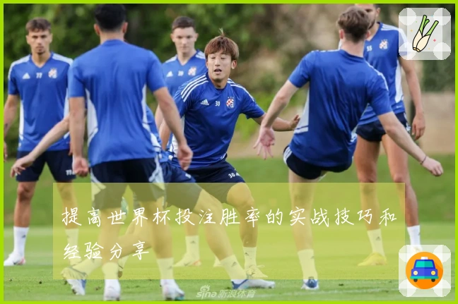 提高世界杯投注胜率的实战技巧和经验分享