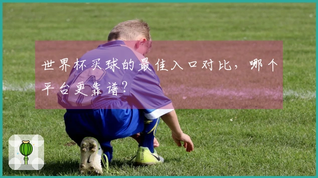 世界杯买球的最佳入口对比，哪个平台更靠谱？