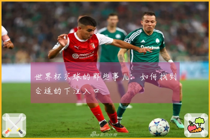 世界杯买球的那些事儿：如何找到合适的下注入口