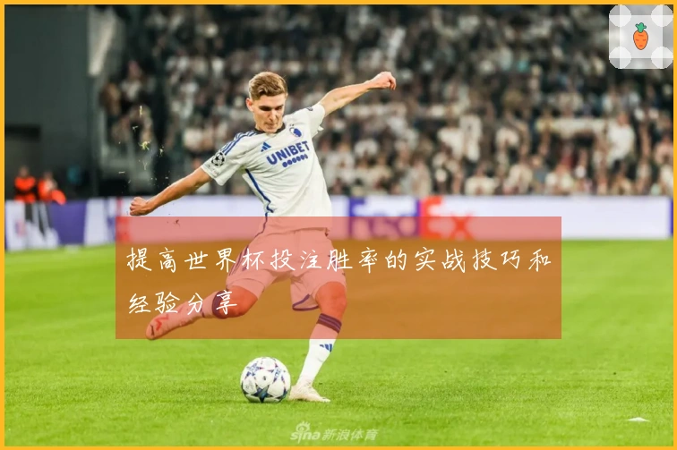 提高世界杯投注胜率的实战技巧和经验分享