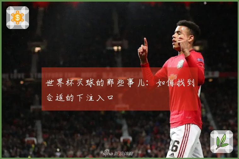 世界杯买球的那些事儿：如何找到合适的下注入口