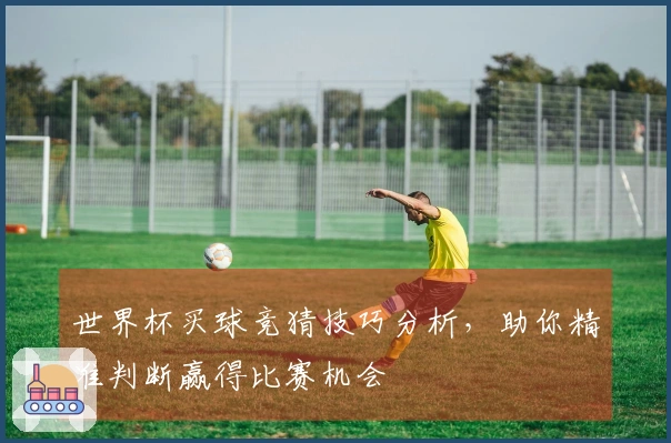 世界杯买球竞猜技巧分析，助你精准判断赢得比赛机会