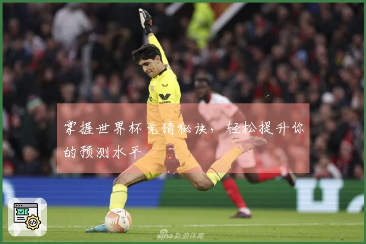 掌握世界杯竞猜秘诀，轻松提升你的预测水平