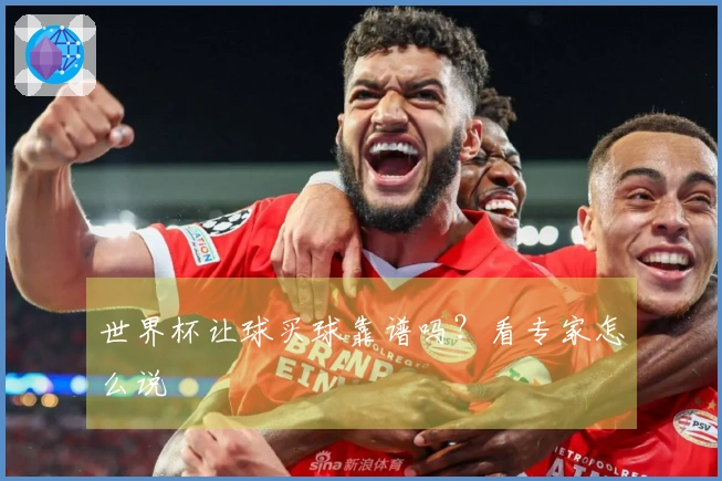 世界杯让球买球靠谱吗？看专家怎么说