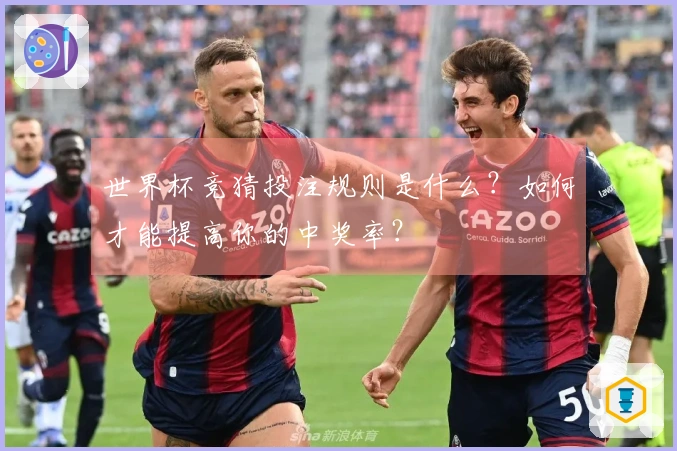 世界杯竞猜投注规则是什么？如何才能提高你的中奖率？