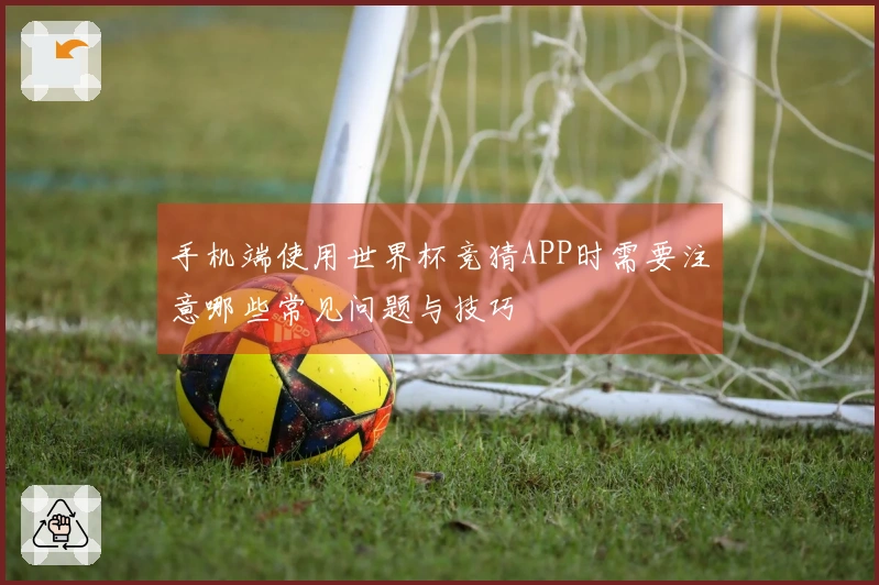手机端使用世界杯竞猜APP时需要注意哪些常见问题与技巧