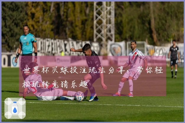 世界杯买球投注玩法分享，带你轻松玩转竞猜乐趣