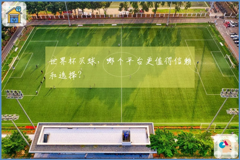 世界杯买球,哪个平台更值得信赖和选择?