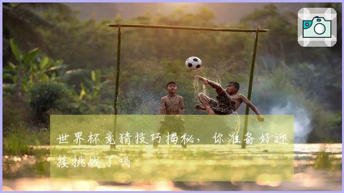 世界杯竞猜技巧揭秘,你准备好迎接挑战了吗