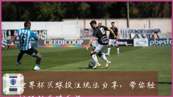 世界杯买球投注玩法分享，带你轻松玩转竞猜乐趣