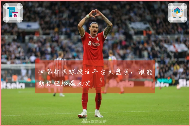 世界杯买球投注平台大盘点，谁能助你轻松赢大奖