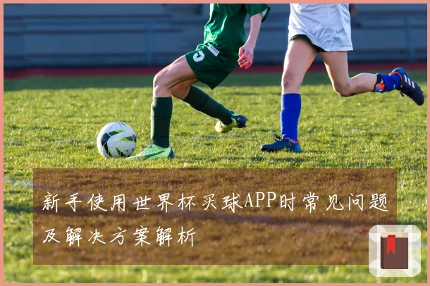 新手使用世界杯买球APP时常见问题及解决方案解析