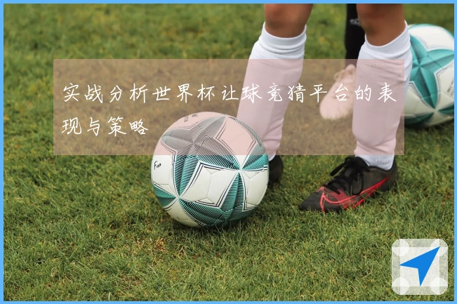 实战分析世界杯让球竞猜平台的表现与策略
