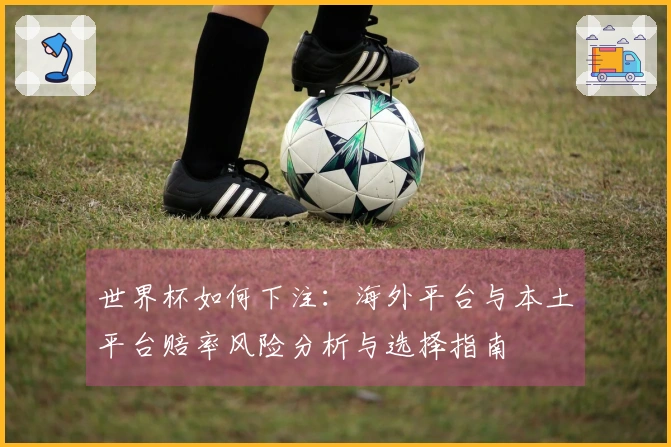 世界杯如何下注：海外平台与本土平台赔率风险分析与选择指南