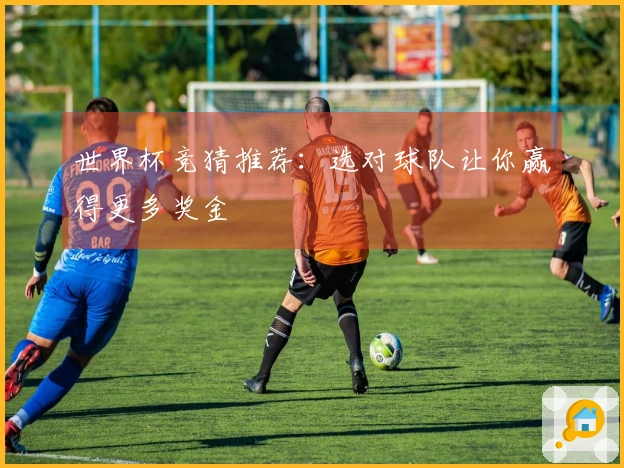 世界杯竞猜推荐：选对球队让你赢得更多奖金