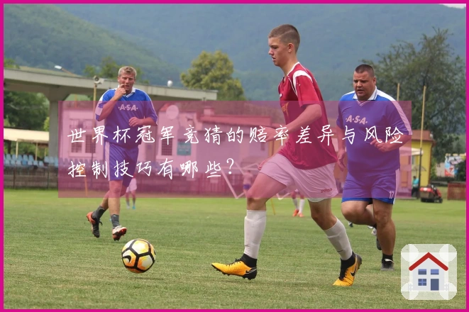 世界杯冠军竞猜的赔率差异与风险控制技巧有哪些？
