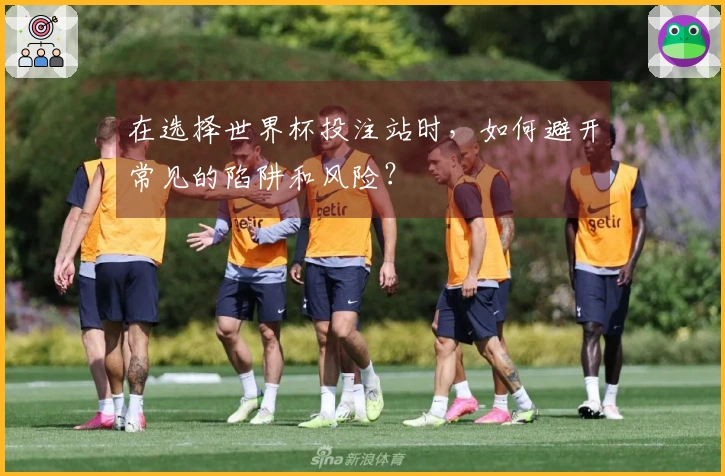 在选择世界杯投注站时，如何避开常见的陷阱和风险？