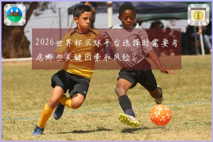 2026世界杯买球平台选择时需要考虑哪些关键因素和风险？